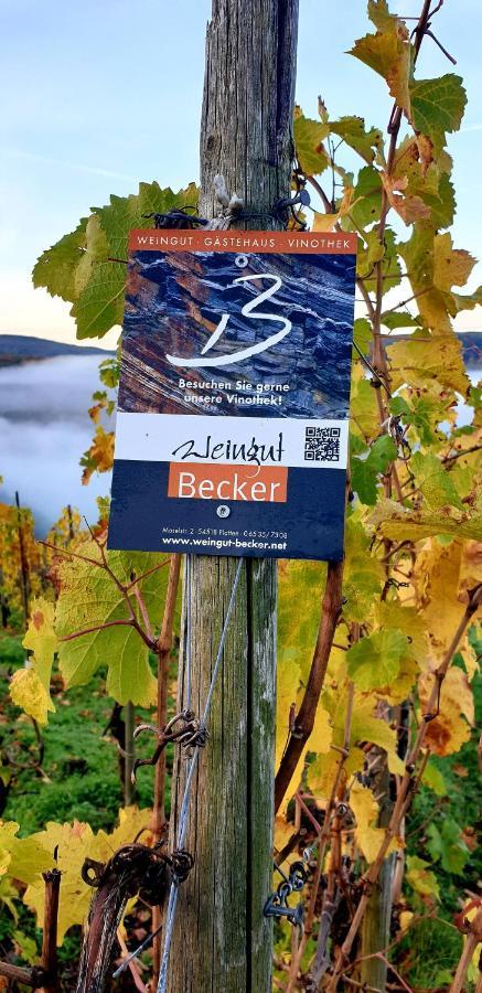 Weingut U. Gaestehaus Becker Platten Exteriör bild